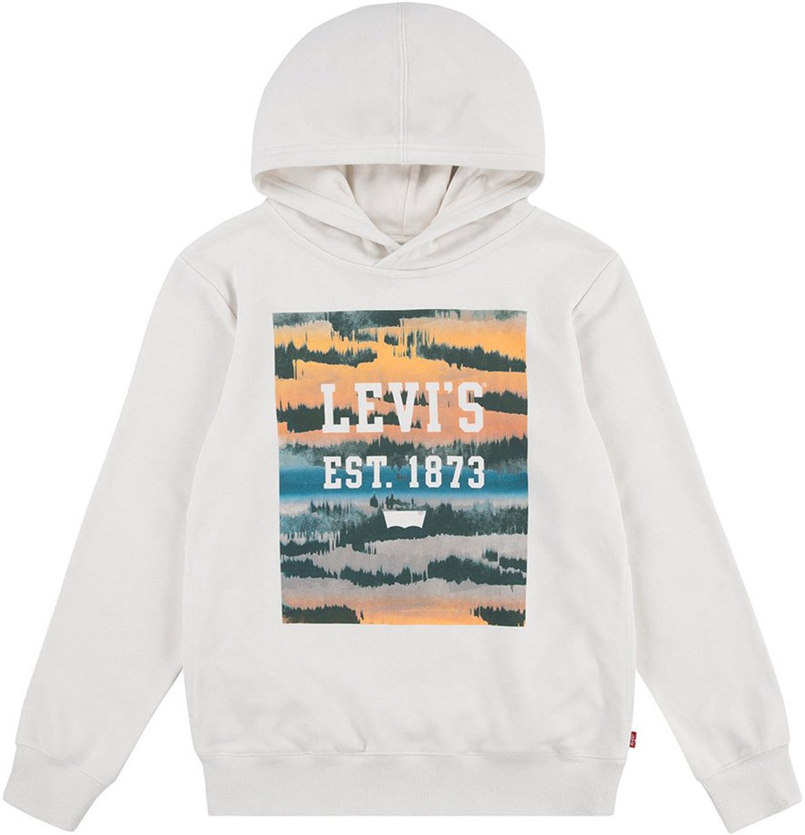 Levi´s ® Kids Landscape Box Hoodie 6 Years Jongens Birch