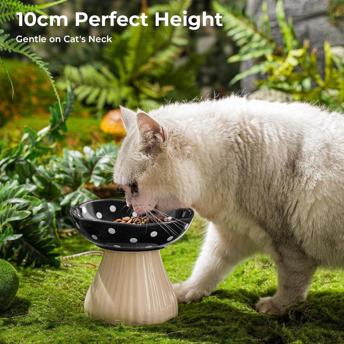 Diskary Kattenbak, voederbak voor katten en puppy's, keramiek, met helling, perfect voor katten en kleine honden (aardbei 15 graden