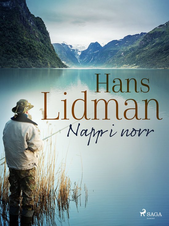 Napp i norr - cover