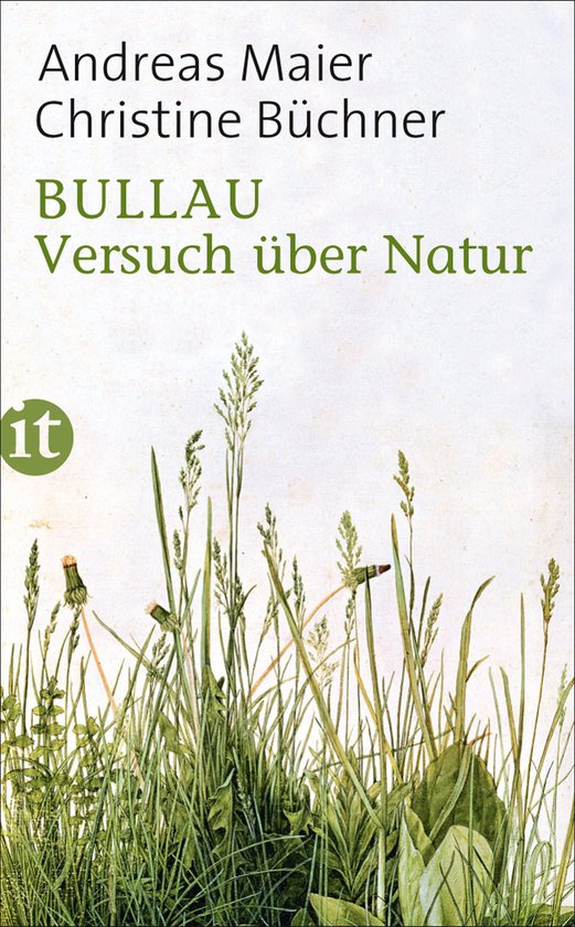 Bullau - cover