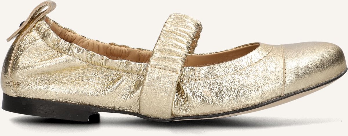 BLASZ 17600118 Ballerina's Dames - Goud - Maat 39