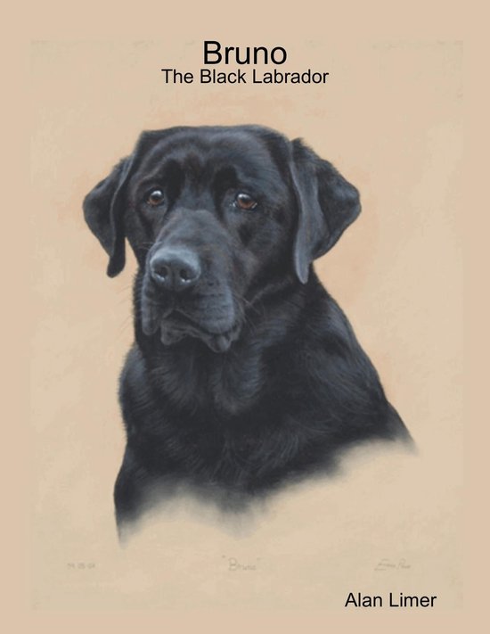 Bruno - The Black Labrador - cover