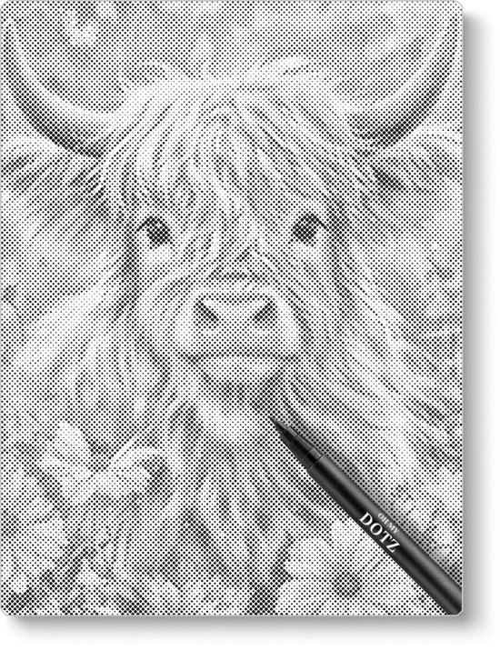 Veau Highlander écossais | 30x40cm | Peinture par points | Toile lâche | Peinture au Diamond et Peinture par numéro alternative | Peinture en pointillé