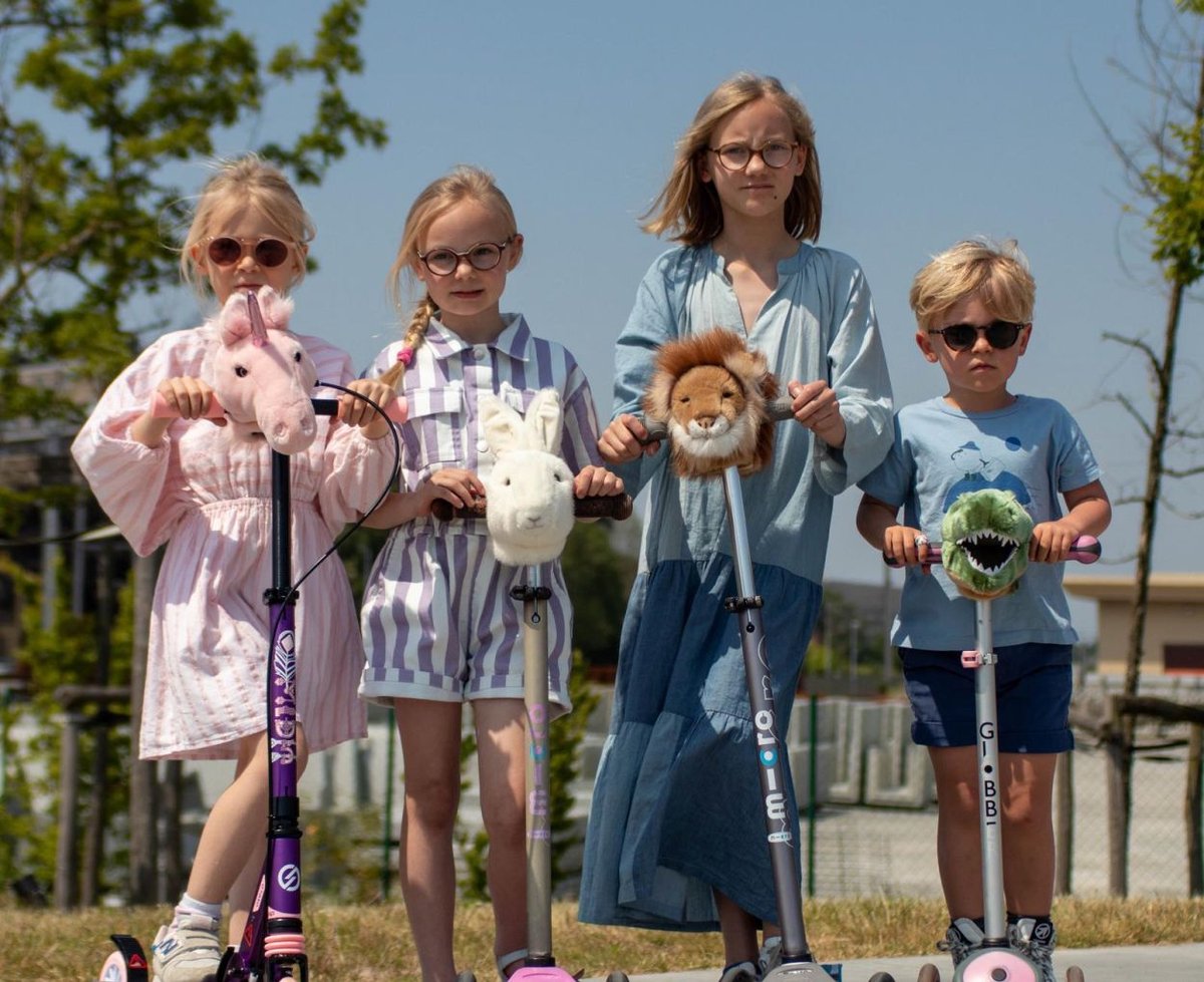 Wild Scooter Hoofd Haai voor Elektrische Step - afbeelding 3