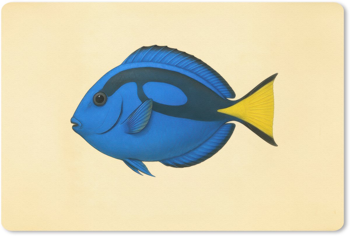 Muismat 27x18 cm - Mousepad Blauw - Dory - Vis - Staartvin - Muismatten