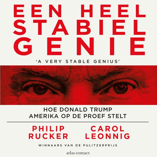 Een heel stabiel genie - cover