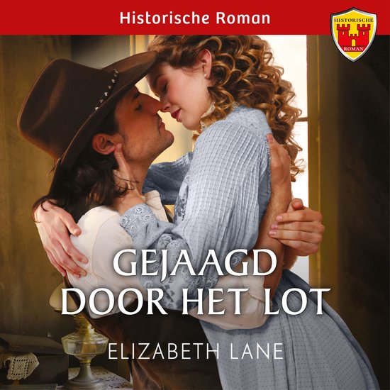 Gejaagd door het lot - cover