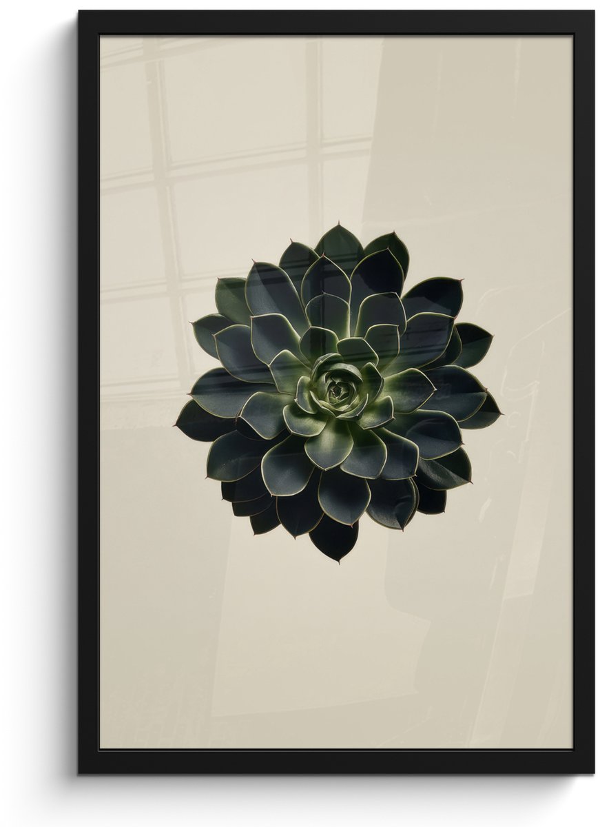 FrameYourWall Poster in lijst - Fotolijst 40x60 cm - Posters - Rozet - Cirkelvormig - Donkergroen - Posterlijst zwart - Decoratie - Wanddecoratie woonkamer - Muurdecoratie slaapkamer