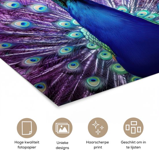 Poster 120x160 cm - Pauw - Koksmuts - Cool - Paars - Posters - Wanddecoratie keuken - Muurdecoratie woonkamer - Decoratieve accessoires - Kamer muur decoratie