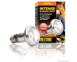 Warmtespotlamp voor Terrariums - Optimale Verwarming voor Reptielen & Amfibieën