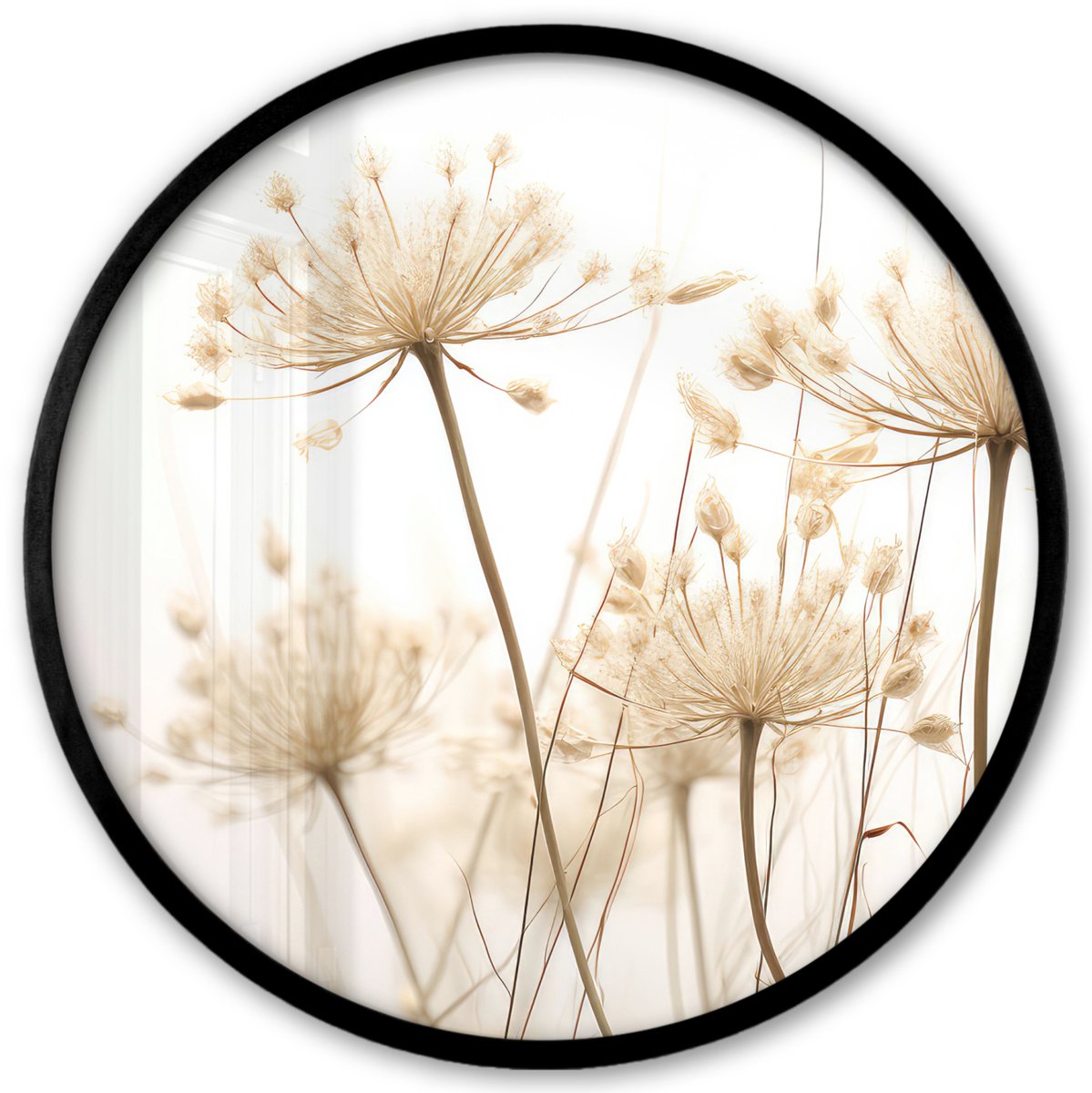FrameYourWall Poster in lijst Rond - Fotolijst 40x40 cm - Posters - Bloemen - Wit - Zonlicht - Ronde posterlijst zwart - Decoratie - Wanddecoratie woonkamer - Muurdecoratie slaapkamer Droogbloemen