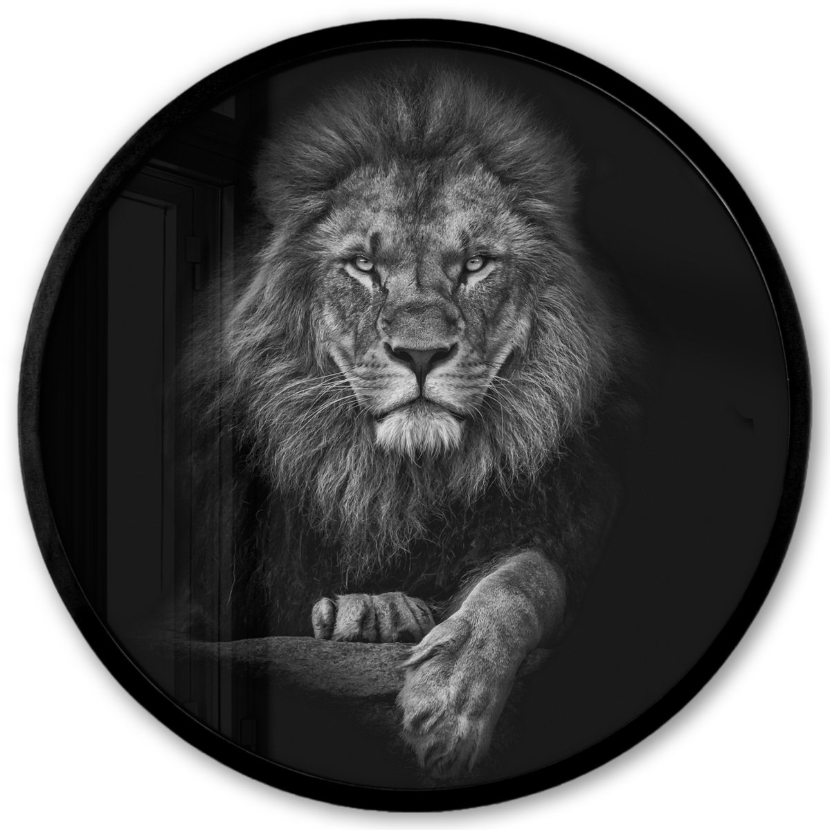 FrameYourWall Poster in lijst Rond - Fotolijst 40x40 cm - Posters - Leeuw - Dieren - Zwart - Wit - Ronde posterlijst zwart - Decoratie - Wanddecoratie woonkamer - Muurdecoratie slaapkamer Leeuw - Zwart wit
