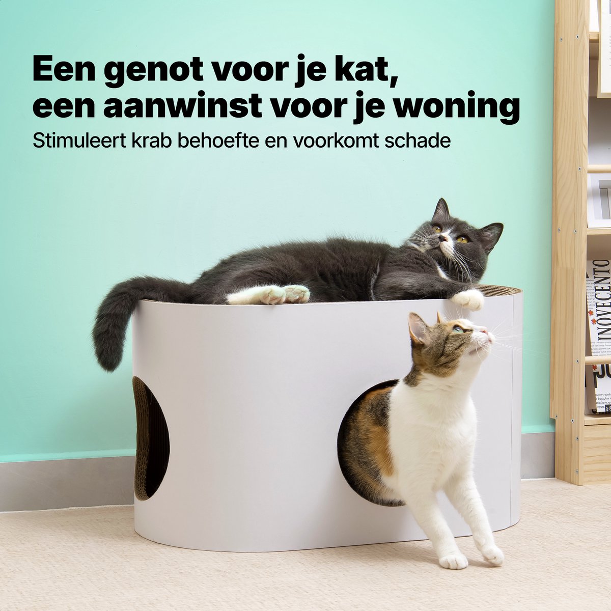 Jake and Jacky Krabkarton voor Katten - Kattenhuis Karton - Krabpaal Karton - Krabmand - Krabplank - Krabmeubel - Kartonnen Krabmat - Kattenmand - Kattenbed - 60x34x34cm – foto 5