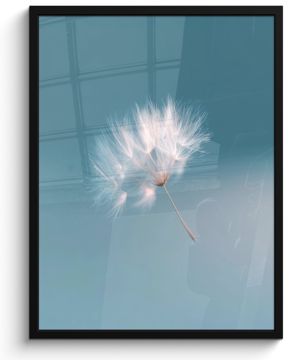 FrameYourWall Poster in lijst - Fotolijst 60x80 cm - Posters - Paardenbloempluisje - Blauw - Lucht - Posterlijst zwart - Decoratie - Wanddecoratie woonkamer - Muurdecoratie slaapkamer