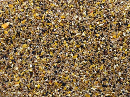 Een close-up van vogelzaad met gele, bruine en zwarte korrels, waaronder maïs en granen.