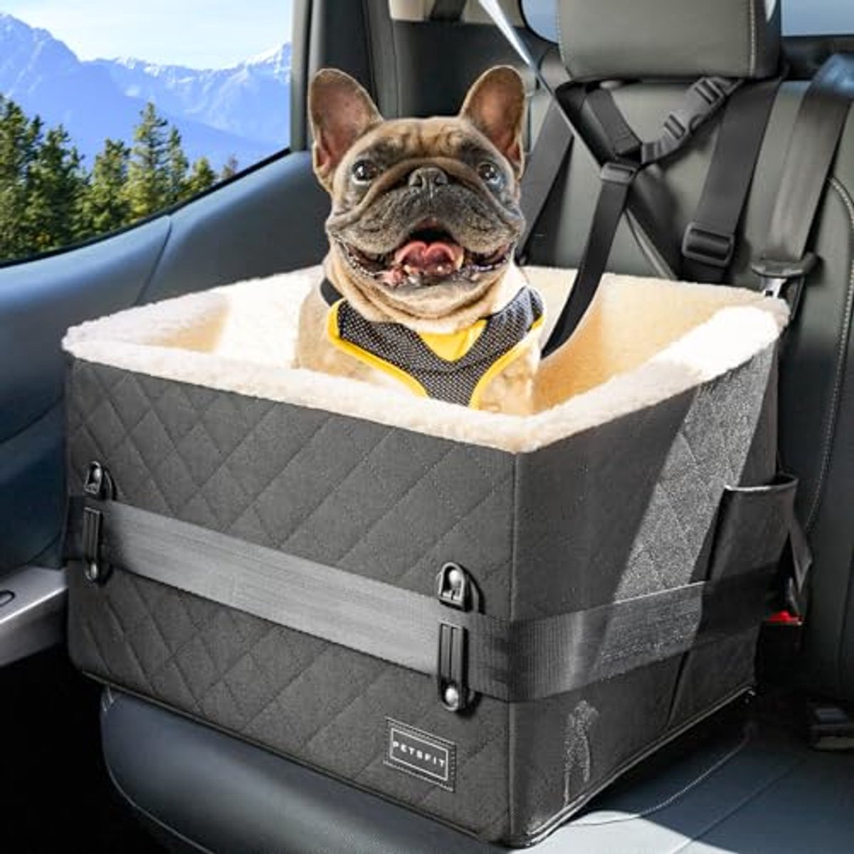Verhoogde hondenautostoel voor kleine honden tot 12 kg - Veiligheid en comfort in de auto