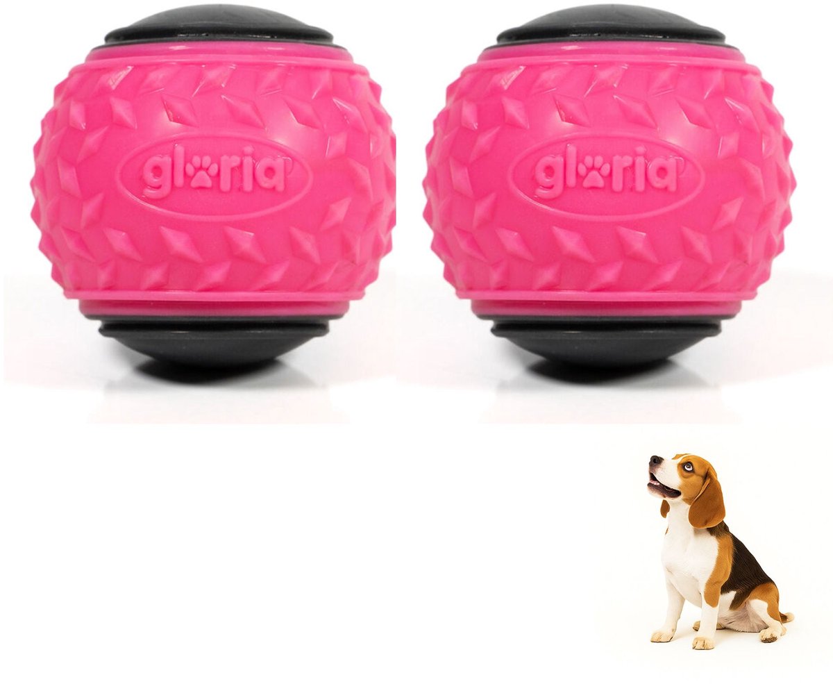 Gloria Play and run – Honden speelgoed – Hondenbal – 2 stuks – Roze – Maat M – 6.35cm