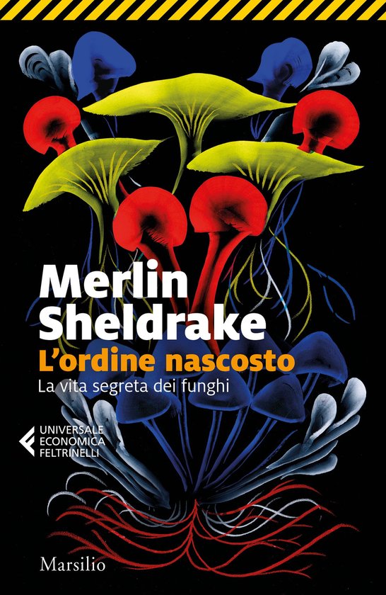 Couverture de livre avec le titre 'L'ordine nascosto' et des images de champignons rouges, jaunes et bleus sur fond noir.