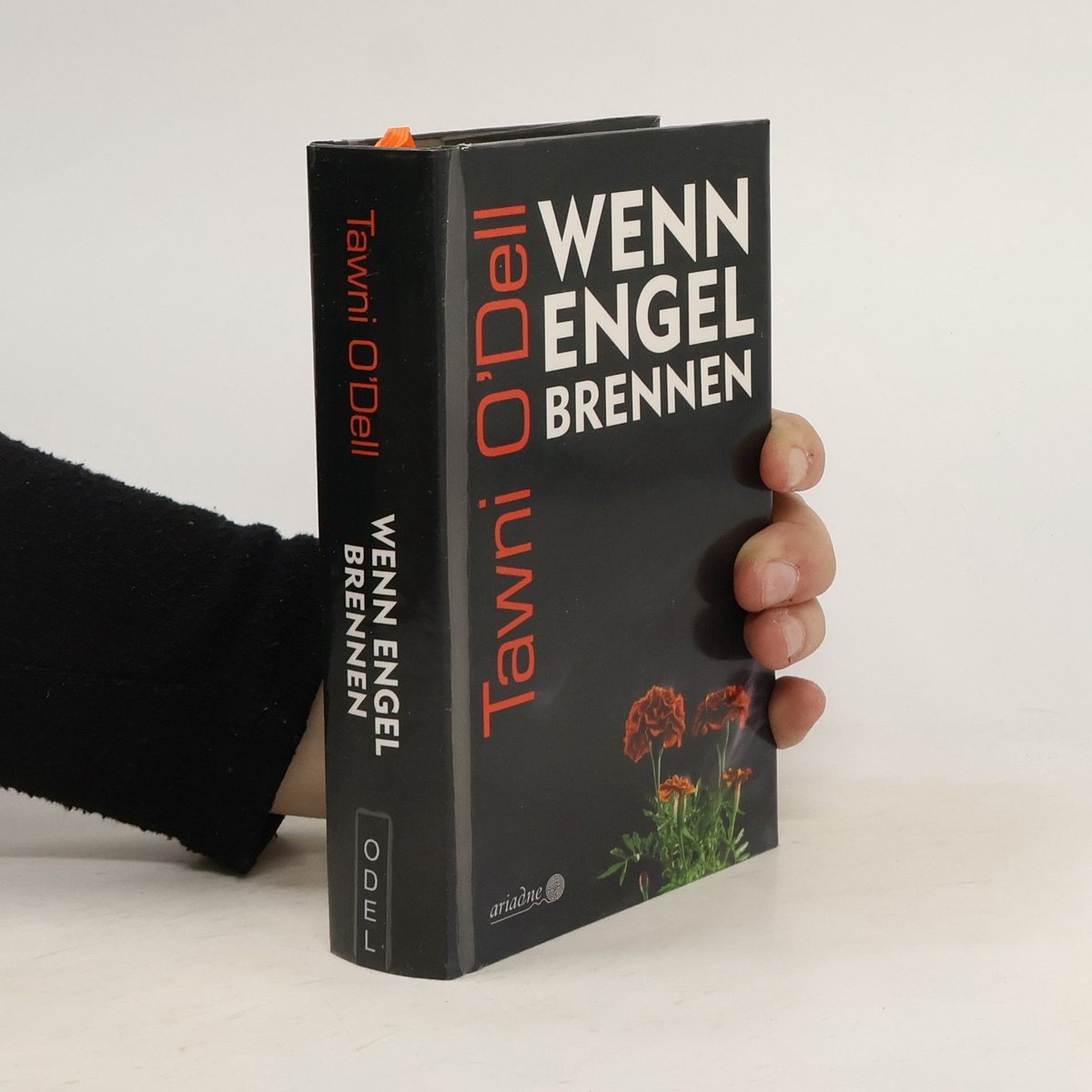 Wenn Engel Brennen van Tawni Odell