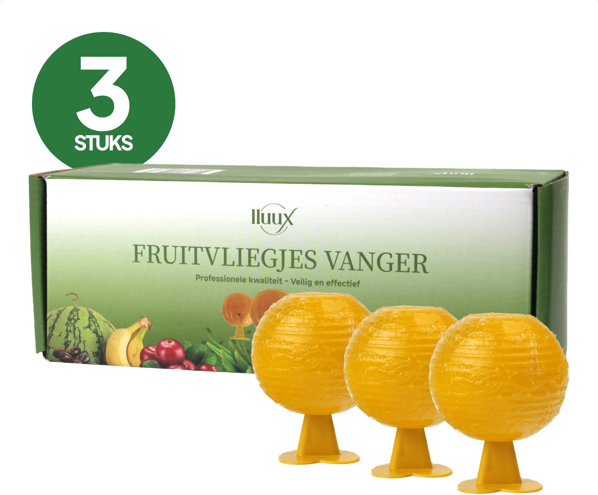 lluux - Fruitvliegjes Vanger – 3 Stuks – Fruitvliegjesval