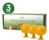 Fruitvliegjes Vanger – 3 Stuks – Fruitvliegjesval