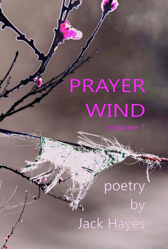Prayer Wind 1 - Prayer Wind volume 1