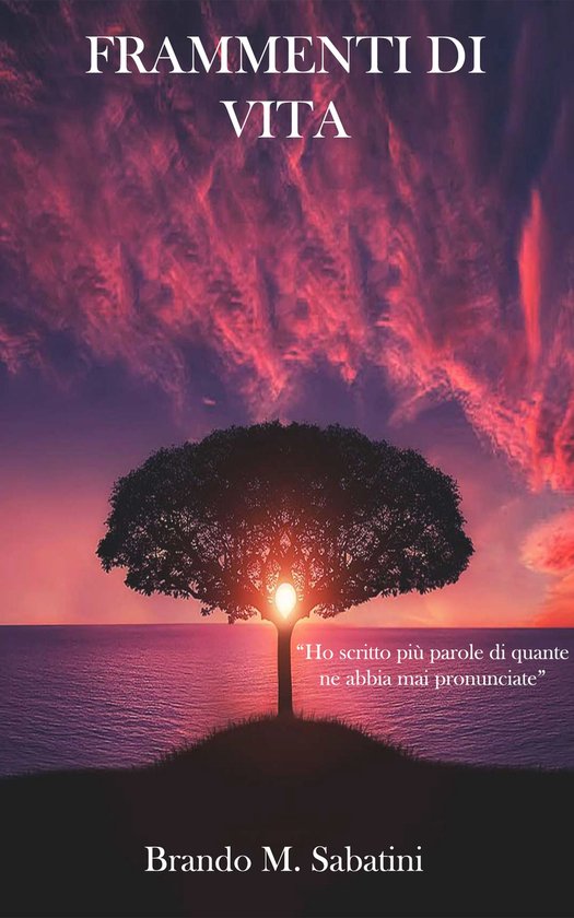 Frammenti di vita - cover