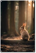 Tuinposter 80x120 cm - Tuindecoratie Konijn - Bos - Zonnestralen - Poster voor in de tuin - Buiten decoratie - Schutting tuinschilderij - Tuindoek muurdecoratie - Wanddecoratie balkondoek
