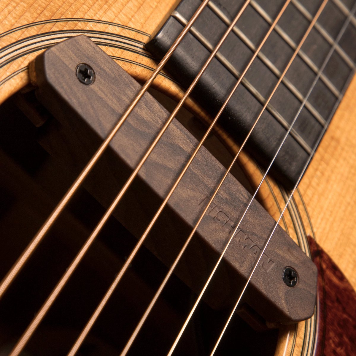 Fishman PRO-NEO-D04 Neo-D Magnetic Soundhole Pickup Woodgrain