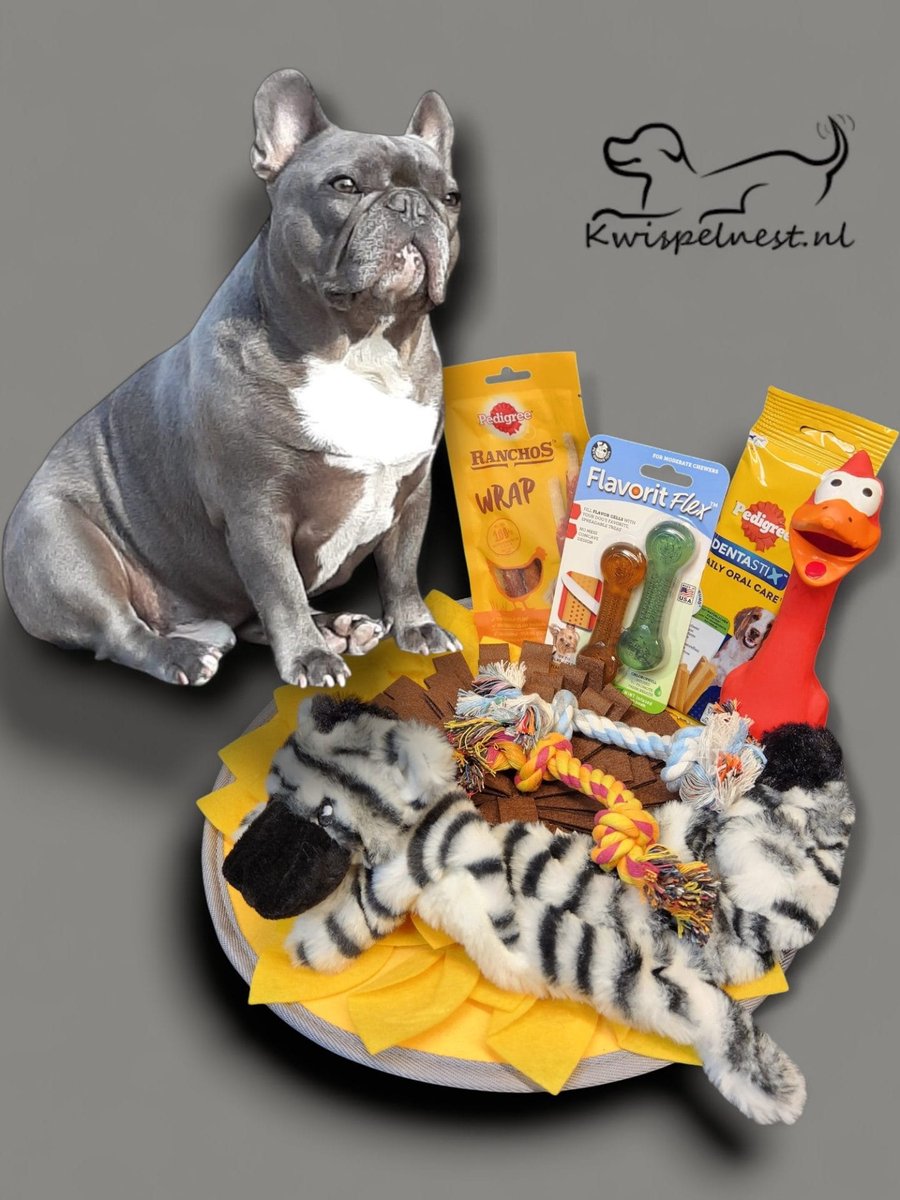 Honden Kwispelbox – kleine kauwers