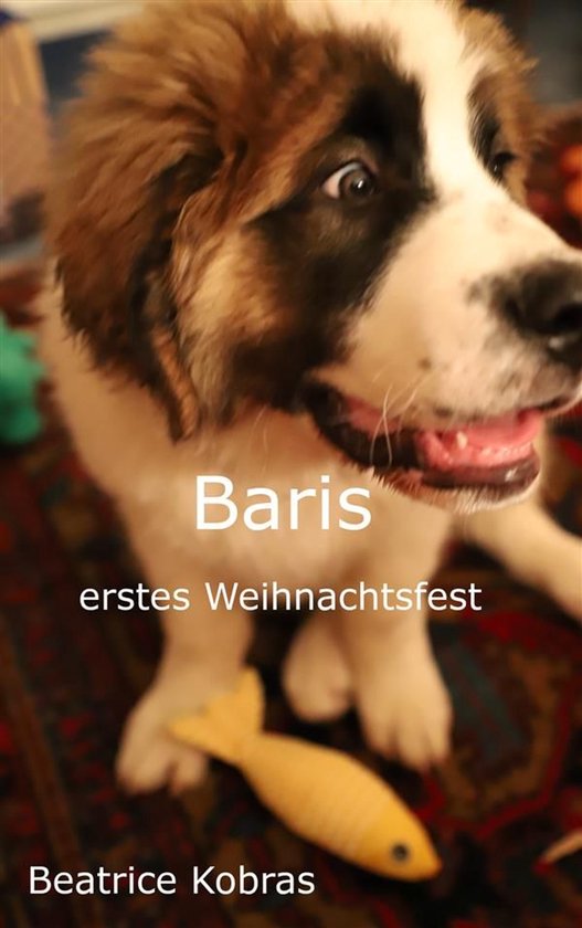 Baris 5 - Baris erstes Weihnachtsfest - cover