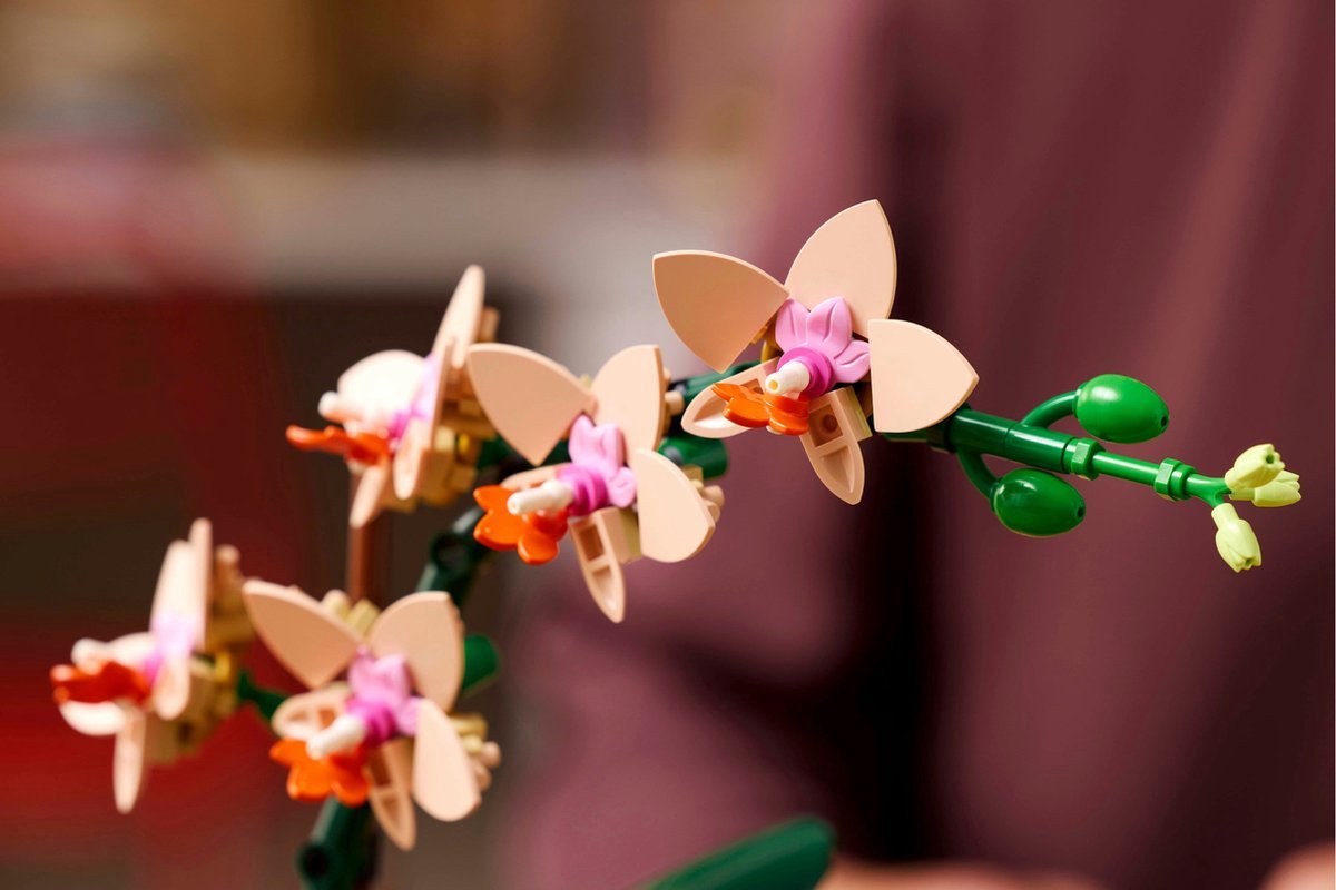 LEGO Botanicals Mini orchidee - 10343 — afbeelding 17
