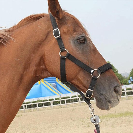 Paard teugel verstelbaar paard harnas - Paard hoofd harnas jupie - headcollar ruiter accessoires paard halter zadel accessoires touwtjes voor paarden,zwart
