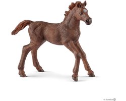 Schleich Horse Club 13857 English Thoroughbred Foal