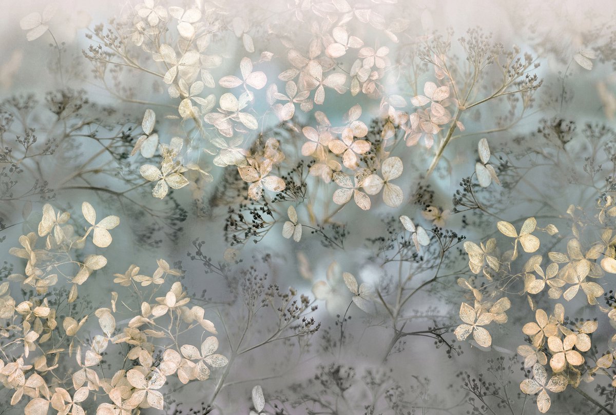 Bloemen behang beige / creme 2236-20 | Koop nu voordeling behang