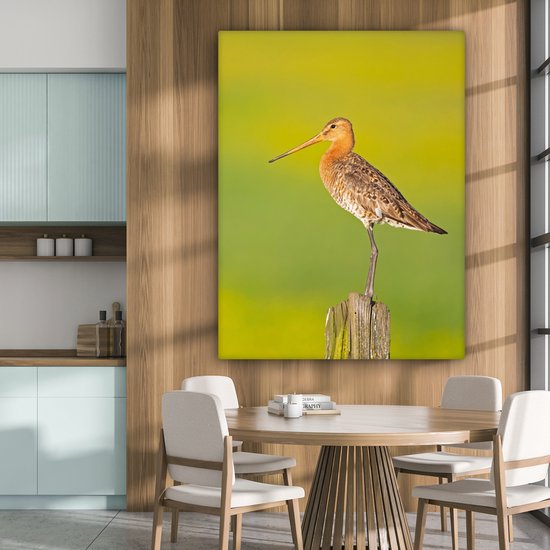 Toile - Tableau - Vogel - Animaux - Barge à queue noire - Perche - Vert - Peintures sur toile - Photo sur toile - 120x160 cm - Décoration murale - Salon