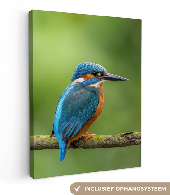 OneMillionCanvasses - Peinture sur toile - Martin-pêcheur - Branche - Mousse - Vogel - Peintures sur toile - Tableau sur toile - 90x120 cm - Salon