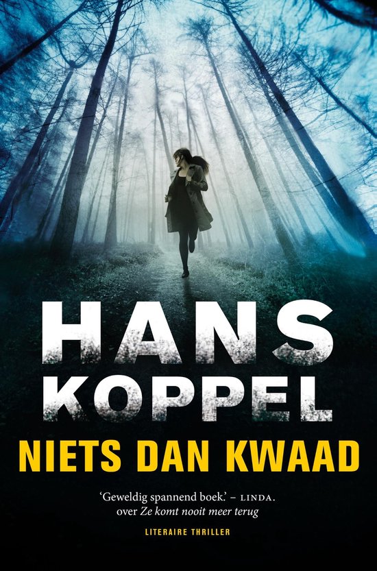 Niets dan kwaad - cover