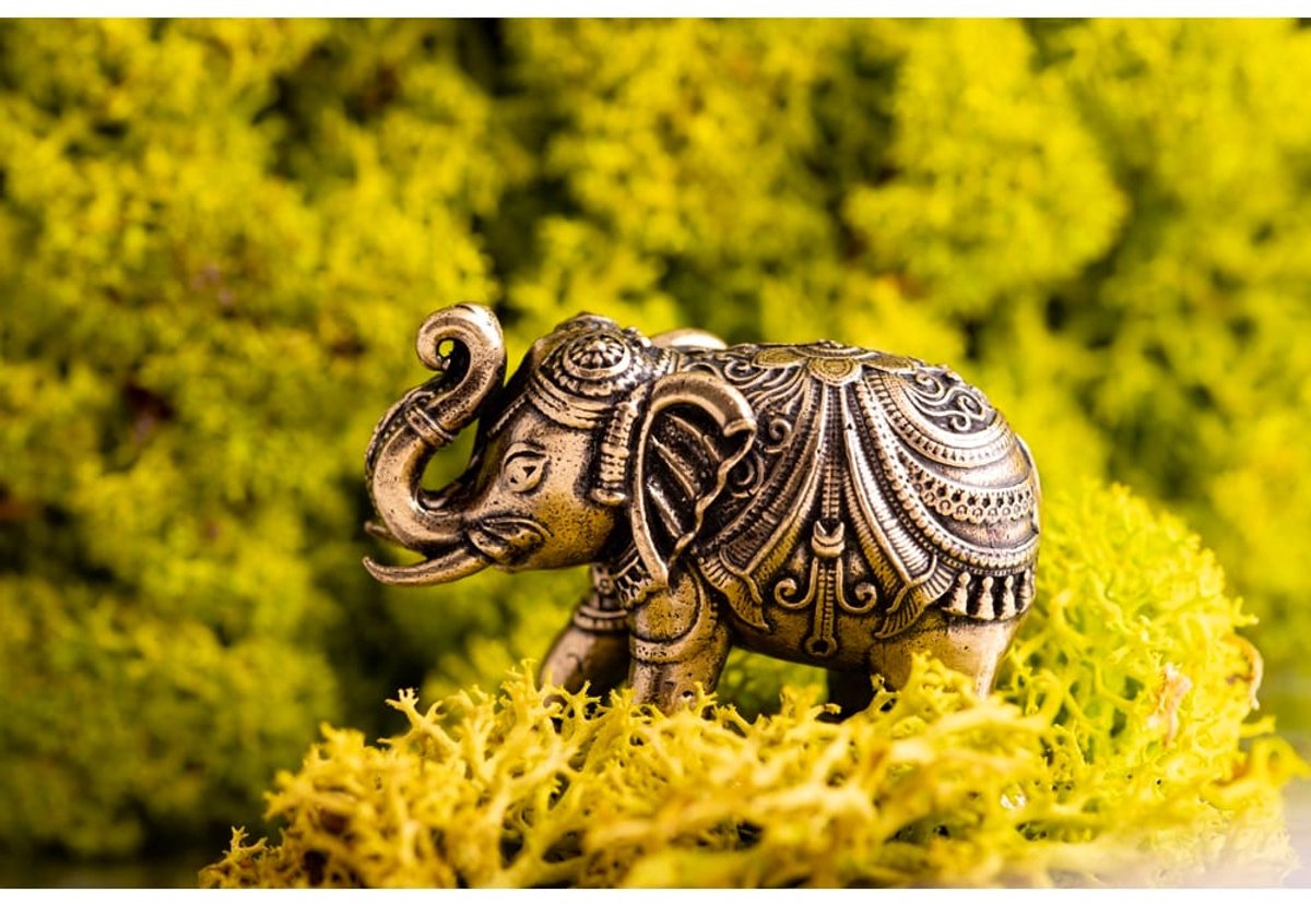 Geluk olifant