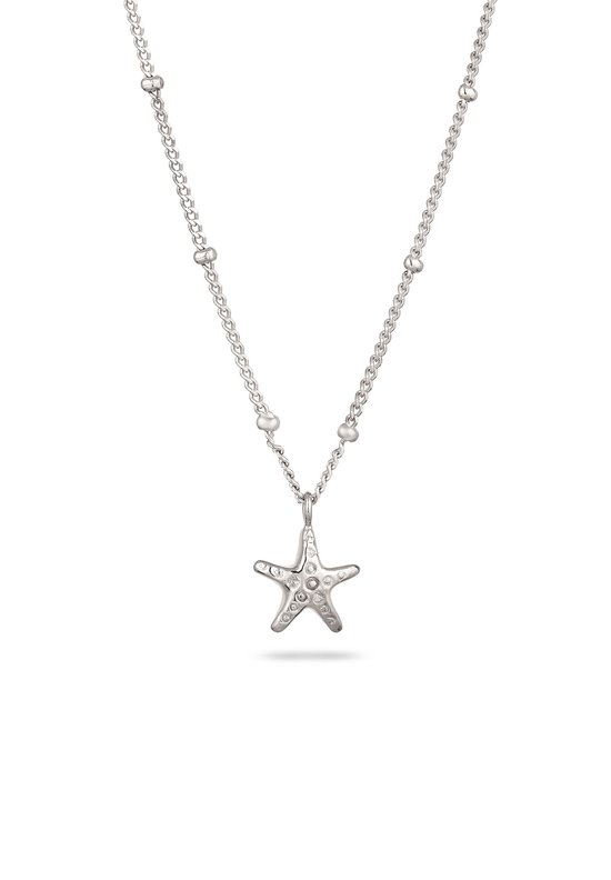 Nederland Zilver stainless steel ketting
