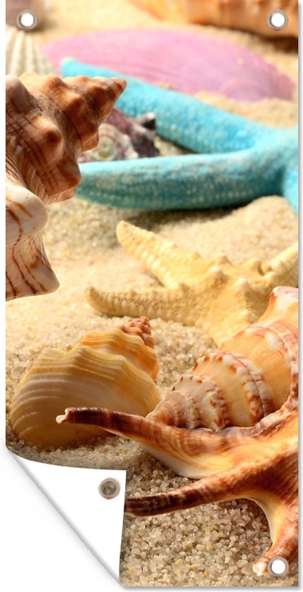 Wandcirkel Zeester en Schelpen - Sweet Living Shop