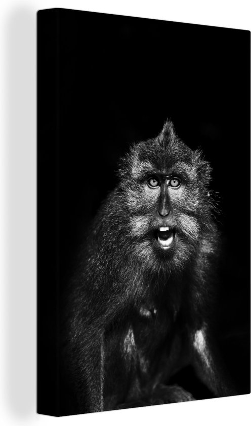 Canvas Schilderij Dierenprofiel makaak in zwart-wit - 80x120 cm - Wanddecoratie