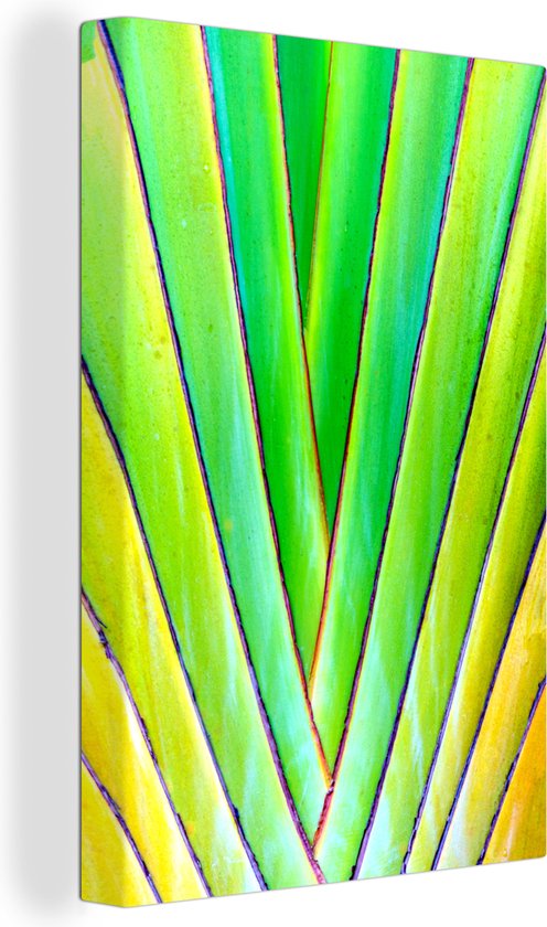 Peintures sur toile - Gros plan abstrait d'un palmier - 120x180 cm - Décoration murale XXL