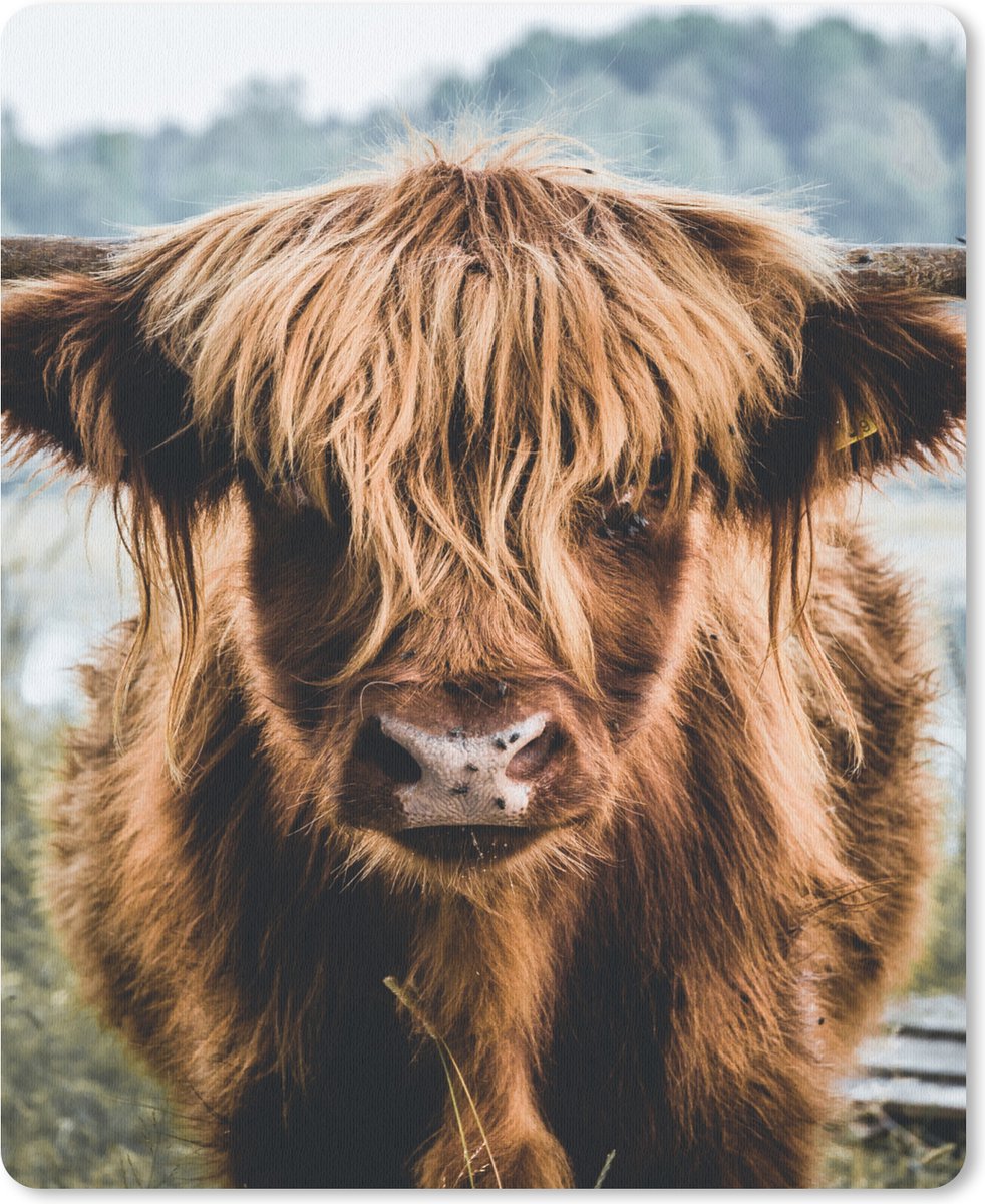 Muismat Groot - Koeien - Schotse hooglander - Bruin - Natuur - 30x40 cm - Mousepad - Muismat