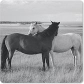 Muismat Klein - Paarden - Dieren - Portret - Zwart wit - Platteland - 20x20 cm
