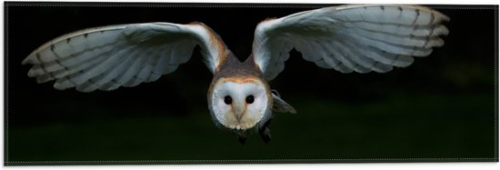WallClassics - Vlag - Vliegende Uil in het Donker - 60x20 cm Foto op Polyester Vlag