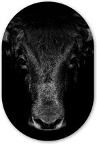 Ovale Mural - Décoration murale Plastique - Tableau Ovale - Taureau - Animaux - Zwart - Wit - 80x120 cm - Forme miroir ovale sur plastique