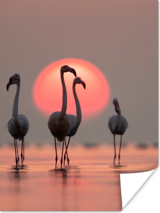 Poster - Fotolijst - Flamingo - Zon - Roze - Vogel - Tropisch - Kader - 90x120 cm - Poster met lijst - Foto in lijst - Poster dieren - Poster flamingo - Wanddecoratie