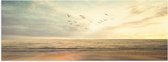 WallClassics - Poster (Matte) - Vogels volant au-dessus de la mer et de la plage - 60x20 cm Photo sur Papier Poster d'aspect Mat