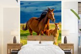 Behang kinderkamer - Fotobehang Paarden - Gras - Dieren - Landschap - Natuur - Breedte 160 cm x hoogte 220 cm - Kinderbehang